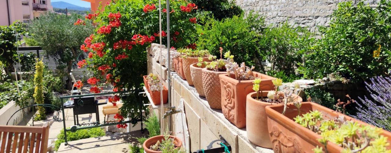 Apartment Alena With Terrace And Garden Center Jelsa Jelsa  Bagian luar foto