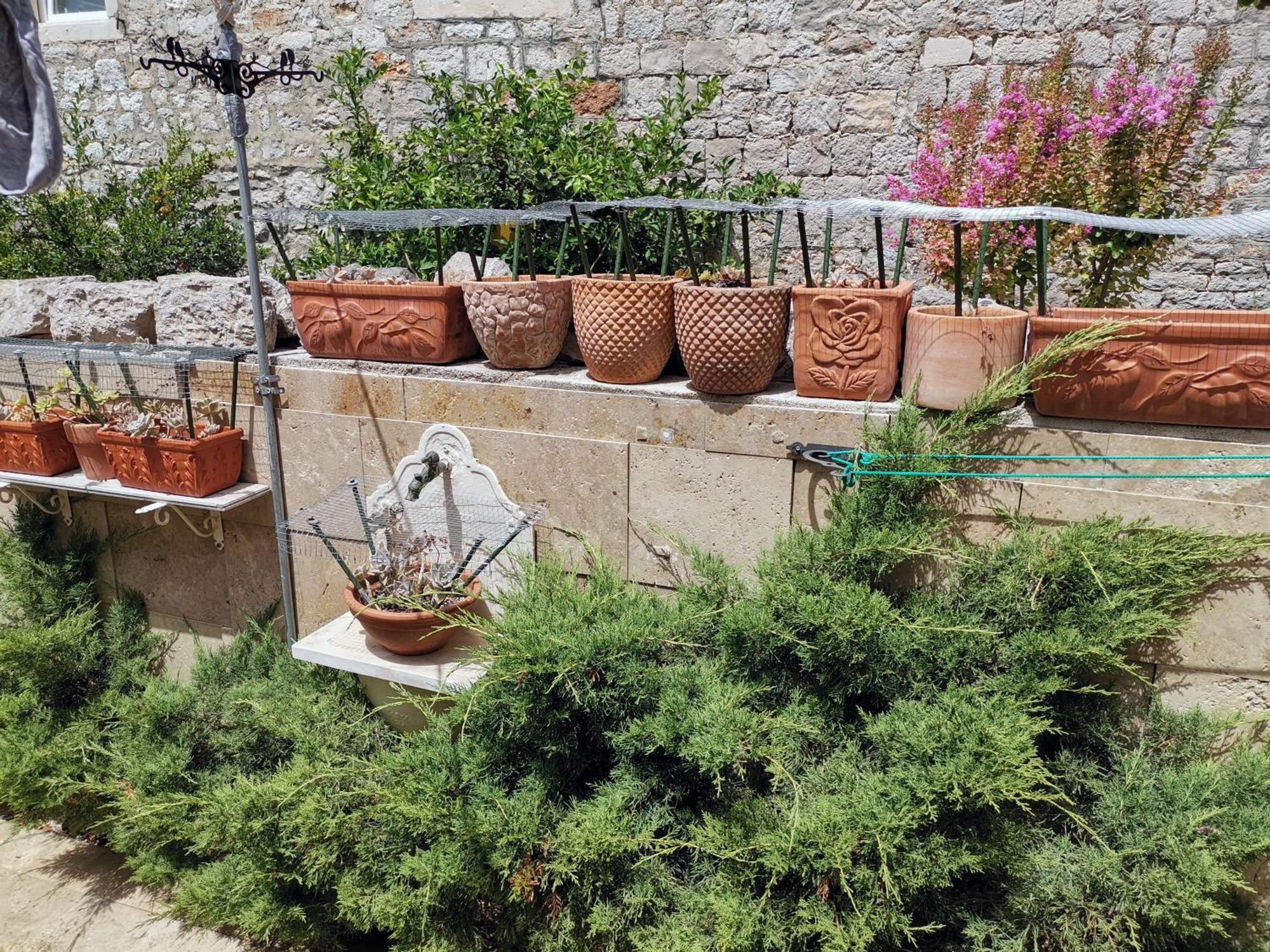 Apartment Alena With Terrace And Garden Center Jelsa Jelsa  Bagian luar foto
