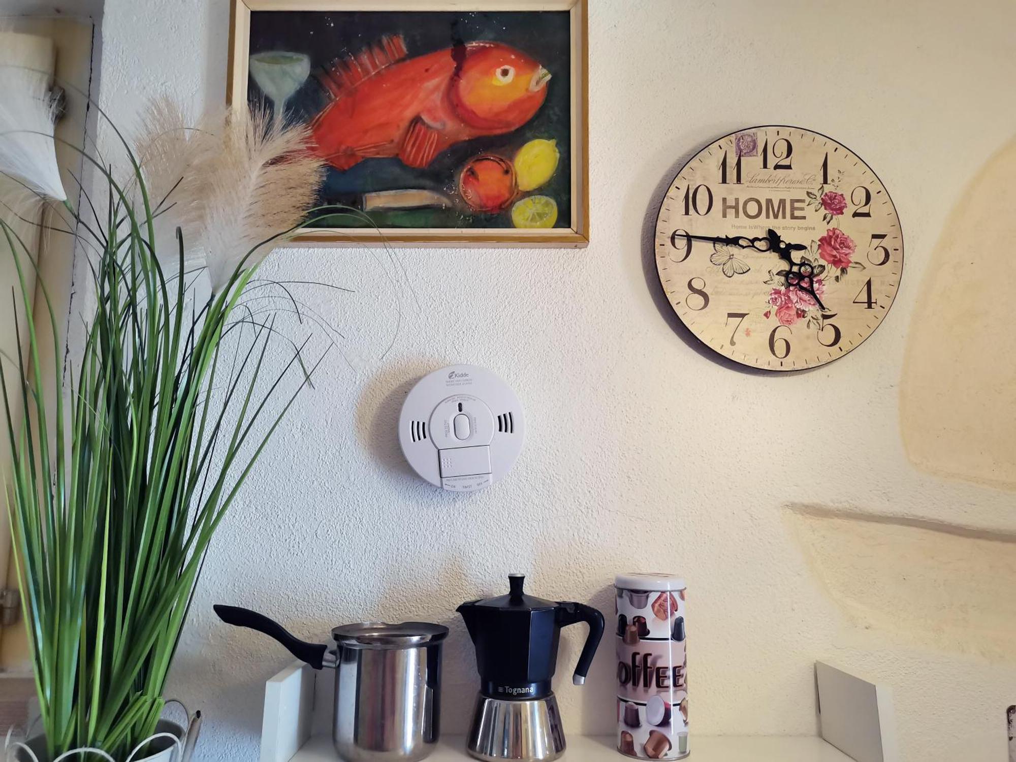 Apartment Alena With Terrace And Garden Center Jelsa Jelsa  Bagian luar foto